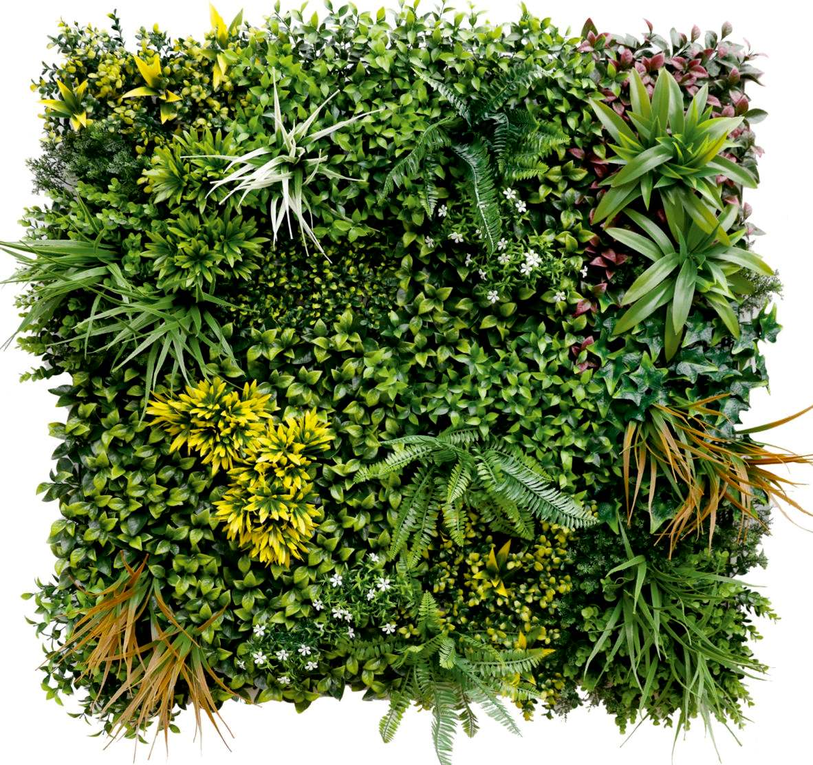 Artificial Vertical Garden 2